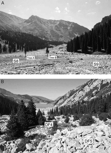 Figure 5 Views of the Ozernaya valley; (A) looking south from Lake Bolshaya Almatinka showing in the foreground landform-sediment assemblages S8 (left), S9 (right), and sample trees A and B; and (B) looking north towards Lake Bolshaya Almatinka with DF5 deposits in the foreground, and DF4 deposits in the background.