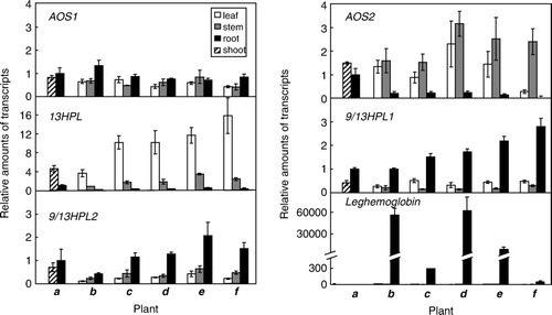 Figure 5.  Expression of each CYP74 in nodulated L. japonicus grown with different N availability. The plants were grown as shown in Results section, then, the expression level of each gene with the plant a to f was determined. For the details of the plants, refer Figure 4A. The transcript level was first normalized to the level of ubiquitin in each sample, and the expression level in the roots of 7 days old seedling was then set as 1. The means±SE (n=3) are shown.