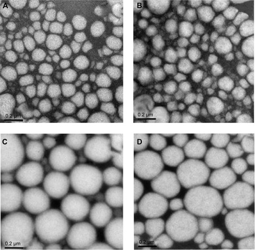 Figure 4 Transmission electronic microscopy images of the nanoemulsions ×100,000 magnification.Notes: (A) LP20, (B) LP80, (C) SP80, and (D) SP20 (scale bars 0.2 µm).Abbreviations: LP20, soybean lecithin and polysorbate 20; LP80, soybean lecithin and polysorbate 80; SP20, sorbitan monooleate and polysorbate 20; SP80, sorbitan monooleate and polysorbate 80.