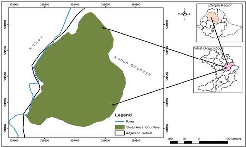 Figure 1. Map of the study area.