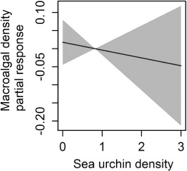 Figure 4. Partial response curves (with 95% confidence interval) showing the density of epiphytic macroalgae on kelp (Laminaria hyperborea) stipes against the density of red sea urchins (Echinus esculentus). Density classes are 0: absent, 1: single individuals, 2: scarce (∼2–3 ind.) and 3: common/moderately dense (∼4–6 ind.).