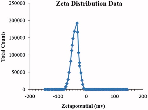 Figure 4. Zeta potential of NFM-3.