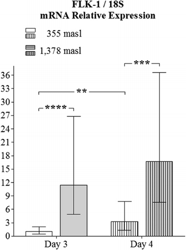 Figure 8. Vascular endothelial growth receptor (FLK-1) mRNA relative expression in YSM analysis. FLK-1 mRNA levels (shown in the Y axis) of 3- and 4-day-old chicken embryos incubated at 1378 and 355 masl. Expression levels are normalised to those of the internal control S18 ribosomal subunit (S18) and determined in every single sample from 15 individuals. Data are presented as mean±95% confidence interval. Statistical differences were detected: **p<0.01; ***p<0.001; ****p<0.0001.