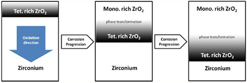 Figure 5. Schematic of the inward corrosion of Zr and the expected distribution of monoclinic and tetragonal ZrO2 phase. Modified from [Citation33].