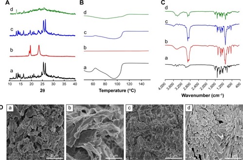 Figure 5 The XRD patterns (A), DSC thermograms (B), FTIR spectra (C), and representative SEM images (D) of BBR (a), Brij-S20 (b), physical mixture (c), and BBR-BS20-NCs (d). Scale bar = 5 µm; magnification: ×10,000.Abbreviations: BBR, berberine; NCs, nanocrystals; BS20, Brij-S20; XRD, X-ray diffraction; DSC, differential scanning calorimetry; FTIR, Fourier transform infrared; SEM, scanning electron microscopy.