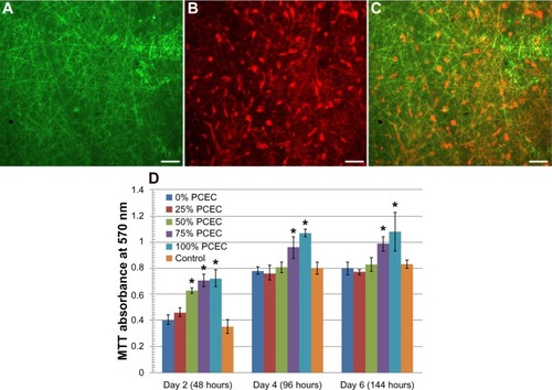 Figure 9 Fluorescence micrographs of PLA/PCEC scaffolds and hPMSCs cultured on PLA/PCEC scaffolds (A–C); MTT assays for proliferation of hPMSCs combined with PLA/PCEC composite membranes (D).Notes: (A) Green fluorescence images of FITC-stained PLA/PCEC scaffolds. (B) Red fluorescence images of Dil stained hPMSCs cultured on PLA/PCEC scaffolds. (C) Composite of (A and B). Scale bars represent 200 μm (D) MTT assays for proliferation of hPMSCs combined with PLA/PCEC hybrid nanofibers with different PCEC concentrations cultured for 2, 4, and 6 days. Significance was assessed compared to the control for each time point assayed by one-way analysis of variance. Quantitative data are represented as mean ± SD, n=9. P-values less than 0.05 were considered significant (*P<0.05).Abbreviations: FITC, fluorescein isothiocyanate; MTT, 3-(4,5-dimethylthiazol-2-yl)-2,5-diphenyl-2H-tetrazolium-bromide; PCEC, poly(ε-caprolactone)-poly(ethylene glycol)-poly(ε-caprolactone); PLA, polylactide; hPMSC, human placenta-derived mesenchymal stem cell; SD, standard deviation.