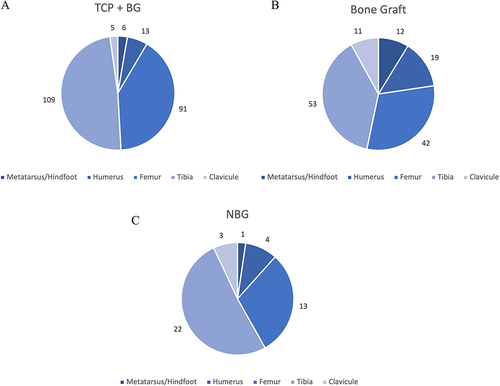 Figure 1 (A–C) Distribution (absolute) of localizations of non-unions in the treated groups.