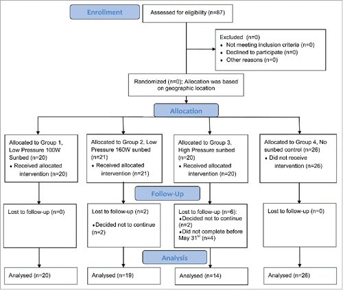 Figure 3. Flow of trial progress and analysis.