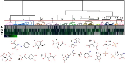 Figure 6 Heat map and dendrogram for the clusters of the 779 potential HsPEPCK-M inhibitors. The selected cut-off point generated 13 groups – an illustrative chemical structure is presented for each cluster (1–13). The heat map represents the docking score for (A) GTP_HsPEPCK-M, (B) GDP_HsPEPCK-M and (C) u_HsPEPCK-M. The best scores are depicted in dark blue while the worst are in light green.