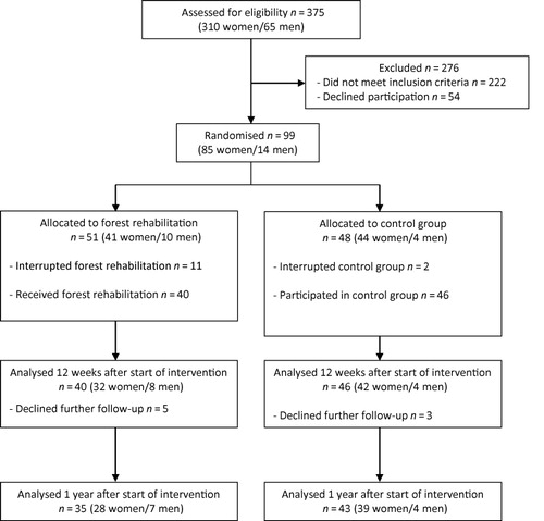 Figure 1. Flow chart of participation throughout the trial.