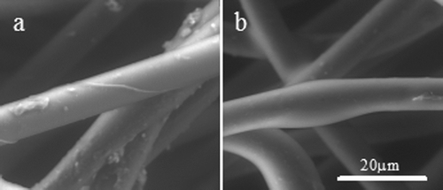 FIG. 3 ESEM image of fibers; (a) uncoated fiber, (b) TTO–coated fiber.