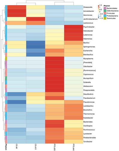 Figure 5. Relative abundance of microbiota at the genus level. Rows in the heat-map represent different genus-level phylotypes, while columns represent different crucian carp samples. The color intensity is proportional to the abundance of OTUs in each row (CS: chilled storage; PFS: partial freezing storage).