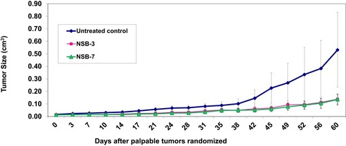 Figure 7 Therapeutic effects of NSB drug to control or reduce tumor size in human breast tumor bearing SCID female mice. Animals randomized and treated orally on day zero. Treatment was given twice per week; n=7.Note: Untreated control group represents no treatment, only tumor bearing SCID mice.