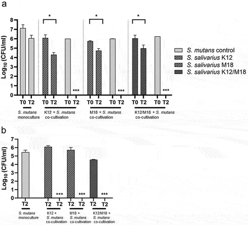 Figure 4.  Antimicrobial activity of S. salivarius K12 and/or M18 against S. mutans in a co-cultivation model. (a) bacterial viability measured as CFU/ml for planktonic cells at the beginning (T0) and after 48 h (T2) of co-cultivation of S. mutans ATCC 25175 (light grey column) with S. salivarius K12 (grey column, left right diagonal hatch pattern), M18 (grey column, right left diagonal hatch pattern) resp. and K12/M18 mixture (dark grey column, crossed line hatch pattern). S. mutans monoculture was used as a control (light grey column). (b) bacterial viability measured as CFU/ml for biofilm-associated cells after 48 h (T2) of co-cultivation of S. mutans (light grey column) with S. salivarius K12 (grey column, left right diagonal hatch pattern), M18 (grey column, right left diagonal hatch pattern) and resp. K12/M18 (dark grey column, crossed line hatch pattern). S. mutans ATCC 25175 monoculture 48 h biofilm was used as a control (light grey column).