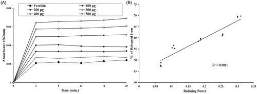 Figure 5. Effect of NIME on reductive release of ferritin iron and its correlation with Fe2+-reducing power. (A) Reductive release of ferritin iron. (B) Correlation between released ferritin iron with a reducing power. The iron released in response to the increasing amounts (100–500 μg) of NIME was plotted against reducing power displayed by the same doses.