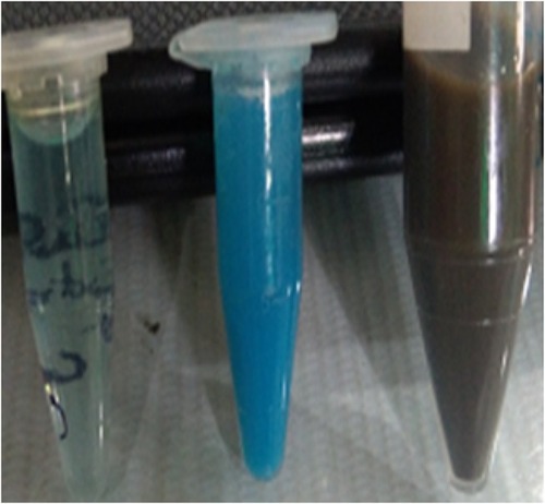 Figure 1 Sequential color change during the formation of CuO nanorods.