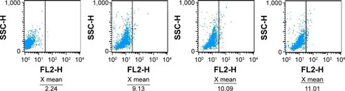 Figure 7 Intracellular accumulation of doxorubicin in Jurkat cells cultured with the different study formulations for 6 hours. X= the average RFI of doxorubicin in Jurkat cells.