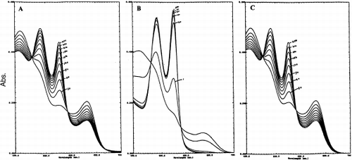 Figure 3. The reduction of the metHb forms of HbXL99α (A) Lumbricus Hb (B), and HbA (C) by 1 mM ascorbic acid at 20°C. Continuous spectra were recorded at specified time intervals (minutes). The rate of appearance of the 540 and 576 nm peaks reflect the conversion of Fe+3-heme→Fe+2-heme for each of hemoglobin sample.