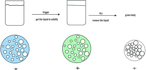 Figure 1. Gel-casting principle.