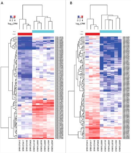 Figure 2. Expression levels of differentially expressed P. destructans genes. Heatmaps show the expression level in counts per million (CPM) of (a) the 94 P. destructans genes upregulated in the MyLu samples compared with the Culture samples or (b) the 117 genes upregulated in the Culture samples compared with the MyLu samples. Genes were identified as differentially expressed (FDR < 0.001) by both edgeR and DESeq2 and expressed (CPM > 0) in at least 2 of the MyLu samples. The scale is log10 CPM with a maximum of 4.5 (a) or 4.1 (b)