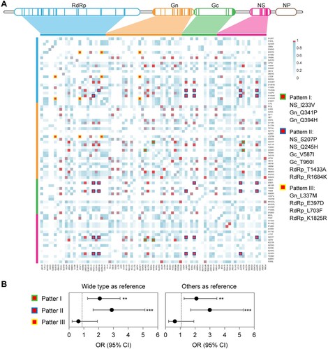 Figure 4. Co-mutation patterns in SFTSV strains from human patients. The matrix representation of co-mutation network for SFTSV strains obtained from patients with SFTS (A). Adjusted ORs for fatal outcomes in patients infected with SFTSV possessing co-mutation patterns (B). ORs were evaluated by using multivariate logistic regression models, with detailed information in Table S15. **p < 0.01, ***p < 0.001; OR = odds ratio.