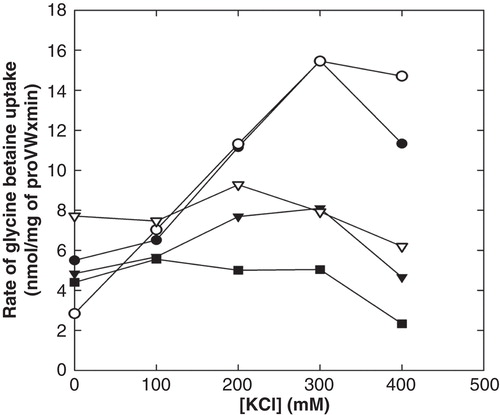 Figure 6. Effect of anionic lipids on glycine betaine uptake. ProU was reconstituted in liposomes composed of 50 mol% DOPE and 0 (▪), 12 (∇), 25 (), 38 (○), 50 (•) mol% DOPG, plus 50, 38, 25, 12 and 0 mol% DOPC. The ATP-regenerating system was enclosed in the vesicle lumen; the final ProVW concentration in the assay medium was 0.05 mg/ml. The rate of [14C]-glycine betaine uptake (40 μM, final concentration) was assayed in 100 mM KPi, pH 7.0, and different concentrations of KCl. This Figure is reproduced in colour in Molecular Membrane Biology online.