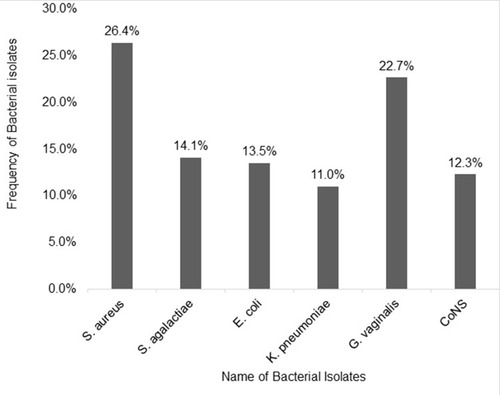 Figure 1 The Prevalence of Vaginosis Causing Bacteria.