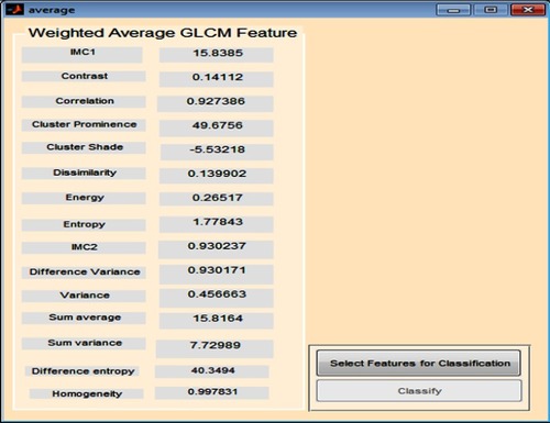 Figure 7 Overall average gray level co-occurrence matrix (GLCM) features computed.