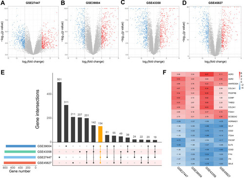 Figure 2 Identification of DEGs in four TNBC microarray datasets from GEO.Notes: (A–D) Volcano plots of differential expression analysis for GSE27447, GSE39004, GSE43358 and GSE45827. (E) Upset plot of DEGs overlapped in the four datasets. (F) Expression heatmap of top 10 up- and down-regulated genes.Abbreviations: TNBC, triple negative breast cancer; GEO, Genome Expression Omnibus; DEGs, differentially expressed genes.