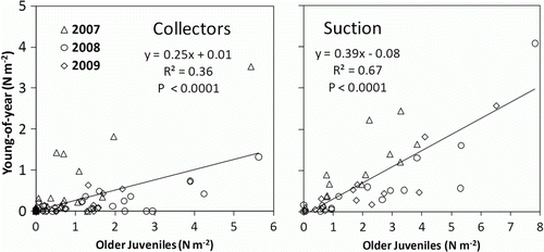 Figure 3.  Correlation between young-of-year and older juvenile lobster densities at the same site from collectors and suction sampling. Each point represents a site average.