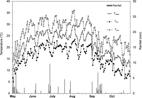 Figure 1. Trend of mean air temperature (Tmean), minimum air temperature (Tmin), maximum air temperature (Tmax) and rainfall during the study period (May–October).