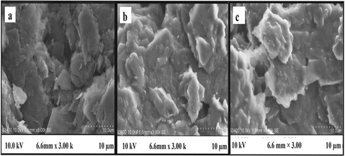 Figure 3. SEM images of (a) carbon paste, (b) graphene-carbon paste composite (c) PGMGCPS.