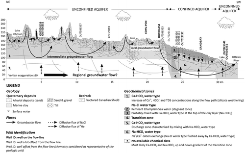 Figure 2. Conceptual hydrogeological model along the selected two-dimensional cross-section perpendicular to the Ottawa River at far right (Montcoudiol et al. Citation2015).