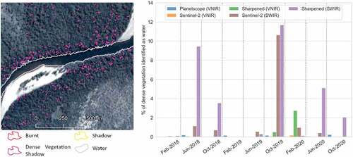 Figure 13. A typical case of misclassification – dense vegetation. The left panel shows dense vegetation identified as water in pink, and on the right, a bar plot showing the percentage of shadows on dense vegetation areas erroneously classified as water.