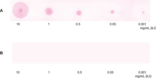 Figure 6 Positive signal of detected β-LG using the GCC labeling method on NC membranes.