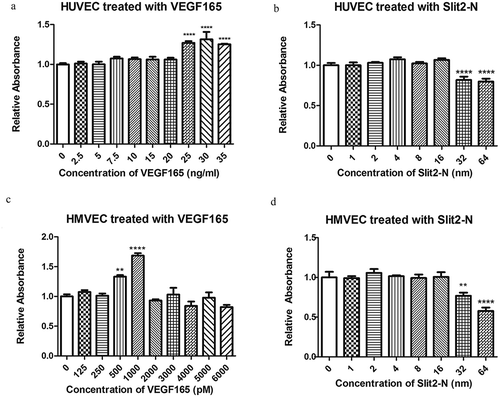 Figure 3. Screens on minimal effective concentrations of VEGF165 and maximal safe concentrations of Slit2-N, respectively, in HUVEC and HMVEC.CCK-8 assay was used to evaluate proliferation and viability of the cells in each group of HUVEC and HMVEC. At hour 48 after the treatment, 25 ng/ml, 30 ng/ml and 35 ng/ml of VEGF165 significantly prompted the proliferation of HUVEC compared with the untreated group (p＜0.0001, p＜0.0001, p＜0.0001, respectively) (Figure 3(a)). In HMVEC, 500 pM and 1000 pM of VEGF165 significantly promoted cell proliferation (p＜0.01, p＜0.0001) (Figure 3(c)).On the part of Slit2-N, the maximal safe concentration, which did not compact the cell viability, was 16nM in both HUVEC and HMVEC (Figure 3(b,d)). (*p＜0.05, ** p＜0.01, *** p＜0.001, **** p＜0.0001)