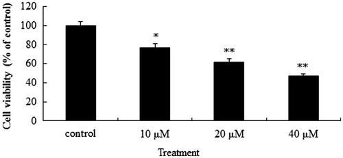 Figure 2. Anti-proliferative effect of puerarin 6″-O-xyloside (POS) on A549 cells in vitro. A549 cell lines were treated with POS (10, 20 and 40 μM) for 32 h, and cell proliferation was determined by the 3-(4, 5-dimethylthiazol-2-yl)-2, 5-diphenyltetrazolium bromide (MTT) assay. The data are represented as the mean ± SD (n = 4). *p < 0.05 and **p < 0.01 versus control.