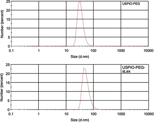 Figure 2 Dynamic light scattering (DLS) of ultrasmall superparamagnetic iron oxide (USPIO)–polyethylene glycol (PEG) and USPIO-PEG–Sialyl Lewis X (sLex).