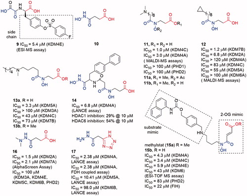 Figure 6. Structures of oxalyl acid, hydroxamic acid and hydrazide scaffold inhibitors.