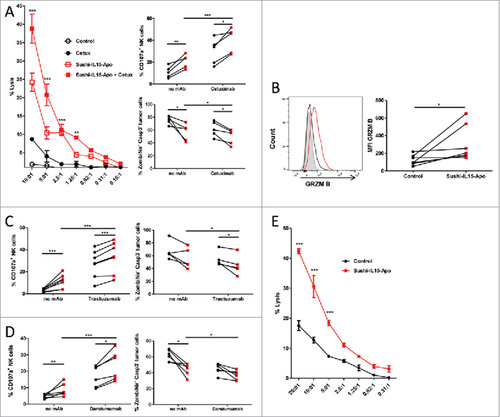 Figure 4. Sushi-IL15-Apo increases NK-cell mediated ADCC and natural cytotoxicity in vitro (A) Purified NK cells that had been cultured for 48h with Sushi-IL15-Apo or without cytokines were subsequently cocultured with cells from the colon carcinoma derived cell line HT-29 previously labeled with chromiun51 in the presence or absence of cetuximab. % specific cytotoxicity was measured in 4 h chromium release assays. Right top panel: CD107a expression on NK cell membranes after isolation, activation as in A and coculture with HT-29 cells in the presence or absence of cetuximab. Right bottom panel: Percentage of dead or apoptotic tumor cells. (B) Intra-cellular expression of granzyme B in NK cells cultured for 48 h with 10 nM of Sushi-IL15-Apo. (C and D) Percentage of CD107a+ NK cells and dead and apoptotic tumor cells were determined in a flow cytometry assay as in A, but using the HER2+ cell line BT474 with trastuzumab (C) or the CD38+ multiple myeloma-derived cell line MM1S with daratumumab (D) to stimulate the cultures. (E) NK cells treated as in A were cocultured for 4 h with chromiun51 labeled K562 cells to study % of cytotoxicity in chromium release assays. ###< p0.001, ## = p < 0.01 and # = p < 0.05 in a two-way ANOVA test comparing the Sushi-IL15-Apo + cetuximab group vs. cetuximab group in A or Sushi-IL15-Apo vs. control in C.