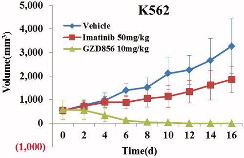 Figure 4. GZD856 potently suppressed tumor growth in K562 xenograft model of human CML. Mice bearing K562 xenografts were dosed orally once a day with GZD856 at 10 mg/kg dosages for 16 consecutive days. The data are representative of three independent experiments.
