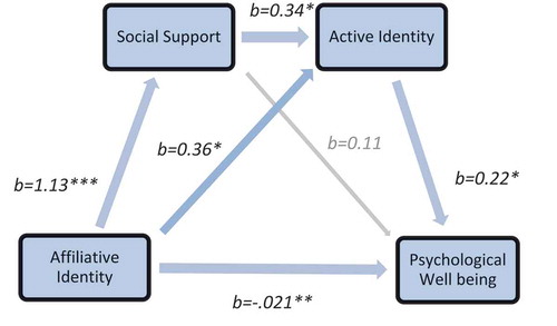 Figure 2. Path analysis for model where affiliative identity leads to psychological well-being via social support and active identity.Note: *p<.05, ** p<.01, ***p <.001, unstandardised betas reported; from Walsh et al. (Citation2015).