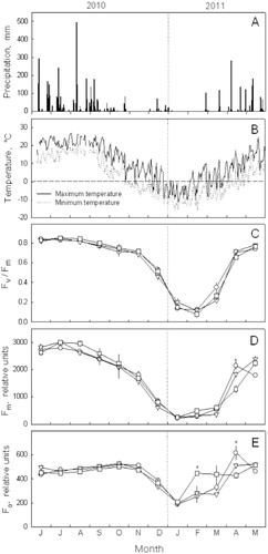 FIGURE 1. (A) Precipitation and (B) maximum and minimum air temperature at the Jindallaebat Weather Station, Mount Halla, which is located near Site A (at 1500 m), and midday characterization of chlorophyll fluorescence (Fv/Fm in C, Fm, in D, FO in E, dark-adapted for a minimum of 15 min) from needles of Korean fir growing at different altitudes (1500 m, ◯; 1671 m, ▽; 1800 m, □) from June 2010 through May 2011. The vertical dotted line denotes the transition from 2010 to 2011. Each value in C, D, and E represents the mean ± standard deviation of 5 different trees. Significantly different values (evaluated by one-way ANOVA test, p < 0.01) among each altitude are marked by an asterisk.