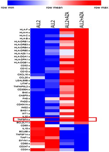 Figure 6 Priming leukemia-bearing mice with AZA modulates gene expression in leukemia cells. Selected differentially expressed genes in hCD19+ leukemia cells isolated from the spleen of 2 AZA-treated mice (ALL-2 + AZA) and 2 untreated ALL-2 mice. Genes up-regulated by AZA are shown in red, and down-regulated in blue.