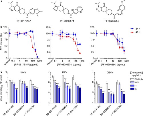 Figure 1. ACC inhibitors reduce flavivirus multiplication at non-cytotoxic concentrations. (A) Chemical structure of ACC inhibitors PF-05175157, PF-05206574 and PF-06256254. (B) Effect of ACC inhibitors on cell viability. Vero cells were treated for 24 or 48 h with PF-05175157, PF-05206574 or PF-06256254 and cell viability was determined by measuring cell ATP concentrations (n = 4). (C) Inhibition of flavivirus multiplication by ACC inhibitors. Vero cells were infected with the flaviviruses WNV, ZIKV or DENV (MOI of 1 PFU/cell) and 1 h after virus addition, viral inoculum was removed and culture medium containing the various concentrations of the compounds was added. The virus yield was determined as the viral titer in infected supernatants after 24 h (WNV and ZIKV) or 48 h (DENV) of infection (n = 3). Two tailed Student’s t-test P values between Vehicle and each compound concentration are Bonferroni-corrected for multiple comparisons. *P < 0.05, **P < 0.01, ***P < 0.001. Data represent the means ± SDs.