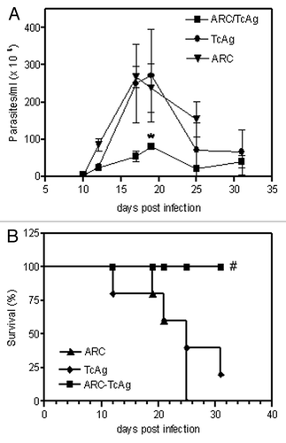 Figure 2. The effect of vaccination on the parasitemia (A) and mortality (B) of C3H/HeN mice infected with T. cruzi. *p = 0.03; #p = 0.04. Results are representative of two independent experiments.