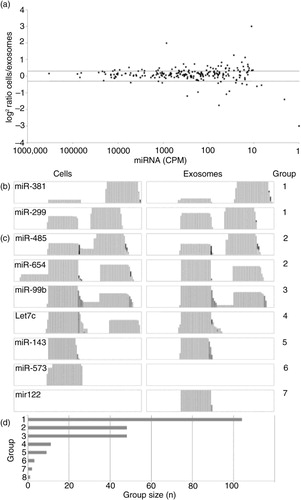 Fig. 2.  Distribution of micro RNAs (miRNAs) in cells and exosomes. (a) Log2 miRNA abundance ratios (cells/exosomes) are displayed with miRNAs ordered by their abundance (CPM). Horizontal grey lines indicate ±1.5-fold ratios. Differences in distribution of miRNA fragments between cells and exosomes as observed in Integrative Genomics Viewer coverage tracks were grouped as follows: (b) group 1: similar distribution; (c) group 2: additional fragment observed in cells; group 3: additional fragment present in both cells and exosomes; group 4: one fragment not observed in exosomes; group 5: only one fragment observed in both cells and exosomes; group 6: miRNA not detected in exosomes and group 7: miRNA not observed in cells. Group 8 encompasses miRNAs not fitting any of the described groups and consists of only 2 miRNAs. All groups are illustrated by representative miRNAs (y-axis in log scale). Comparison of group sizes (d) shows that most miRNA are distributed in a similar manner in cells and exosomes.