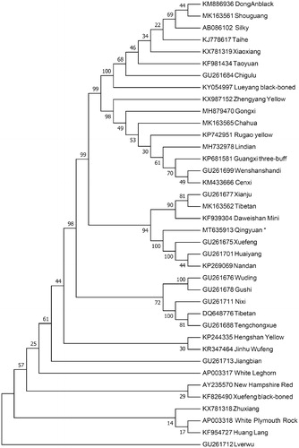 Figure 1. Neighbor-joining tree based on the complete mitochondrial DNA sequence of 38 chicken breeds. GenBank accession numbers are given before the species name.