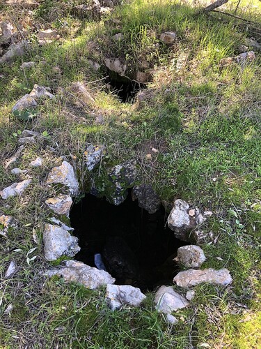 Figure 6. Openings of water holes located under a large olive tree on main road, across from the cistern in Figure 4.