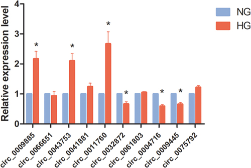 Figure 4 Validation of differentially expressed circRNA by qPCR. 10 candidate circRNAs were selected to validate their expression in the exosome from HK-2 cells culture medium of HG group and NG group. *P<0.05.